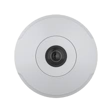 pdf-icon